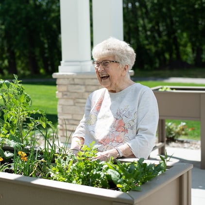 Senior woman smiles while gardening in a raised garden bed