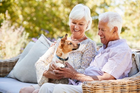 The Physical and Mental Health Benefits of Pet Therapy for Seniors