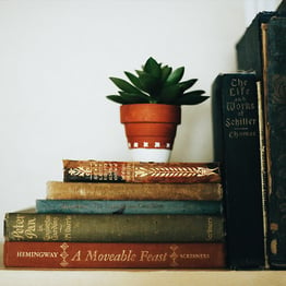 stack of books with plant