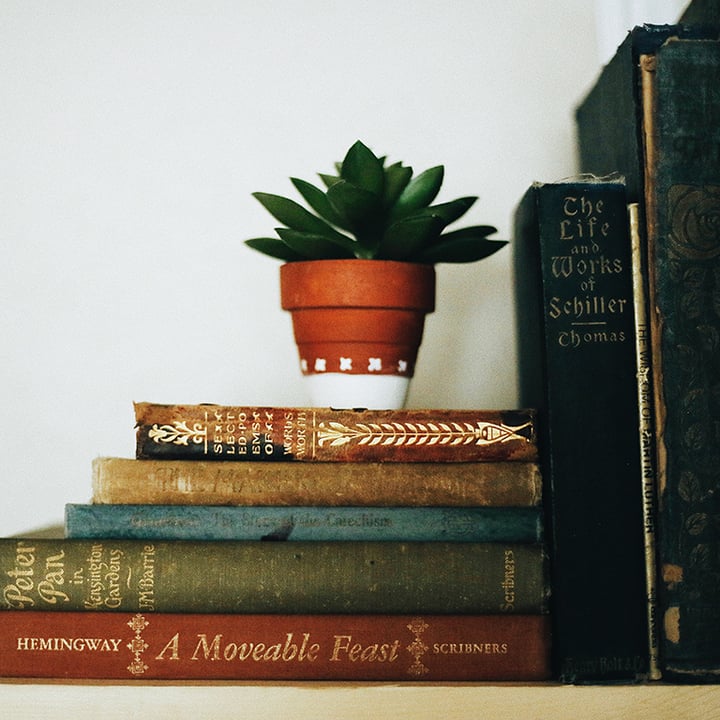 Small plant sits atop vintage books on a shelf